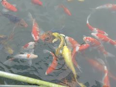 -陶祖圣境风景区