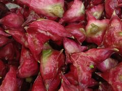 -上海佘山国家森林公园天马山园