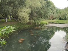 -长白岛森林公园