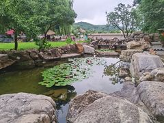 -老村长农家院