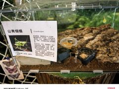 -宁波九龙湖开元度假村