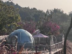 -南丹山森林王国