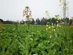 -中国天府农业博览园