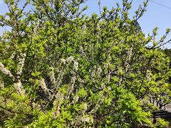 -中国移动南方基地