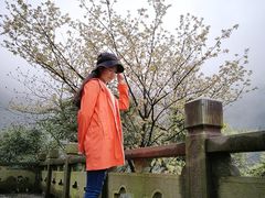 -宁波五龙潭景区