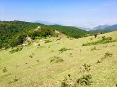 -大姆山草场