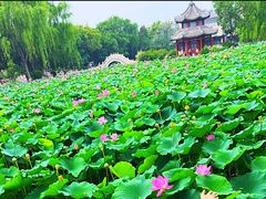 -莲池书院博物馆