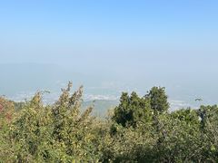 -北京西山国家森林公园