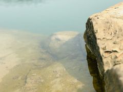-金海湾滨江公园