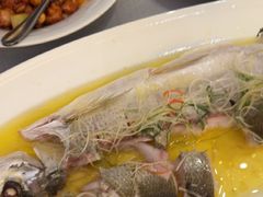 -便宜坊烤鸭店(科创店)