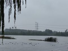 -池杉湖湿地公园