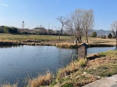 -良渚古城遗址公园