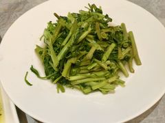 -老绍兴养和饭店(向阳不夜城店)