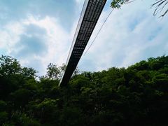 -天生桥景区
