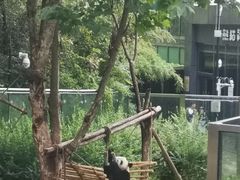 -黔灵山公园