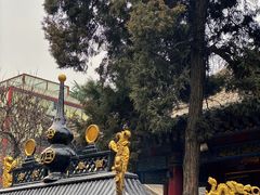 -西安市广仁寺