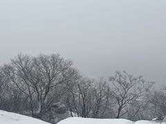 -北京凤凰岭