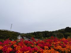 -云溪植物园