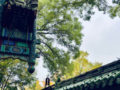 -北京国子监胡同