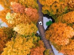 -桤木河湿地公园