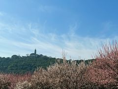 -苏州上方山国家森林公园