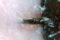 -MJ skin care国际皮肤管理中心