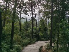 -火炉山森林公园