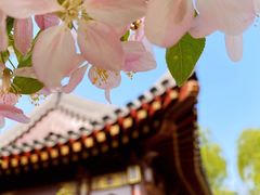 -海棠花溪(元大都城垣遗址公园)