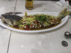 -煲来饱去冷水鱼