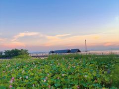 -滆湖低碳生态公园