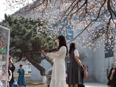 -吉林大学(南岭校区)