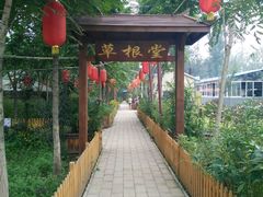 -草根堂农场