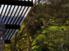 -MOJ coffee(瓯海泽雅水碓坑店)