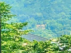 -美味之家·湖景农家乐(太湖东山店)