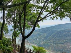 -铁山坪森林公园