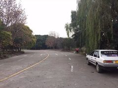 -通略驾校(新村路店)