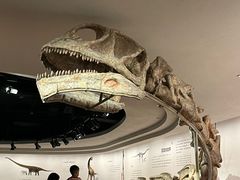 -自贡恐龙博物馆