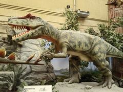 -国家自然博物馆