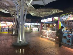 -锦江乐园舞狸花花游园会(夜场专享)