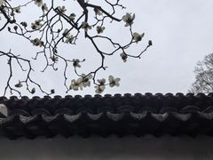 -拙政园