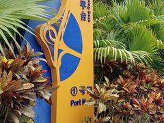 -演武大桥观景平台
