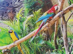 -杭州开元森泊度假乐园