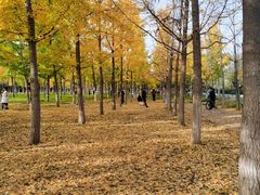 -汉长安城未央宫国家考古遗址公园