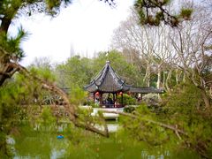 -上海醉白池公园