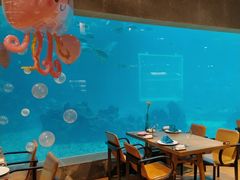 -涛·海底餐厅·美人鱼·自助餐·海底隧道(三亚海棠湾洲际度假酒店)