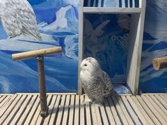 -成都浩海立方海洋公园