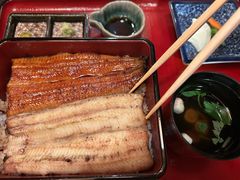 -料亭菊水楼