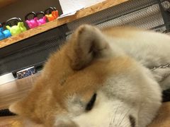 -YCHL Studios健身工作室(市二宫店)