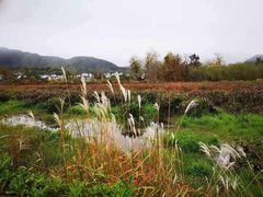 -黟县屏山村