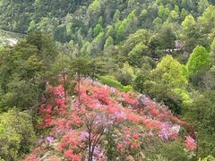 -岳西天峡风景区